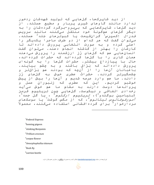 با شکوه ترین نمایش روی زمین - نمونه سوم - جزیره کتاب های الکترونیکی